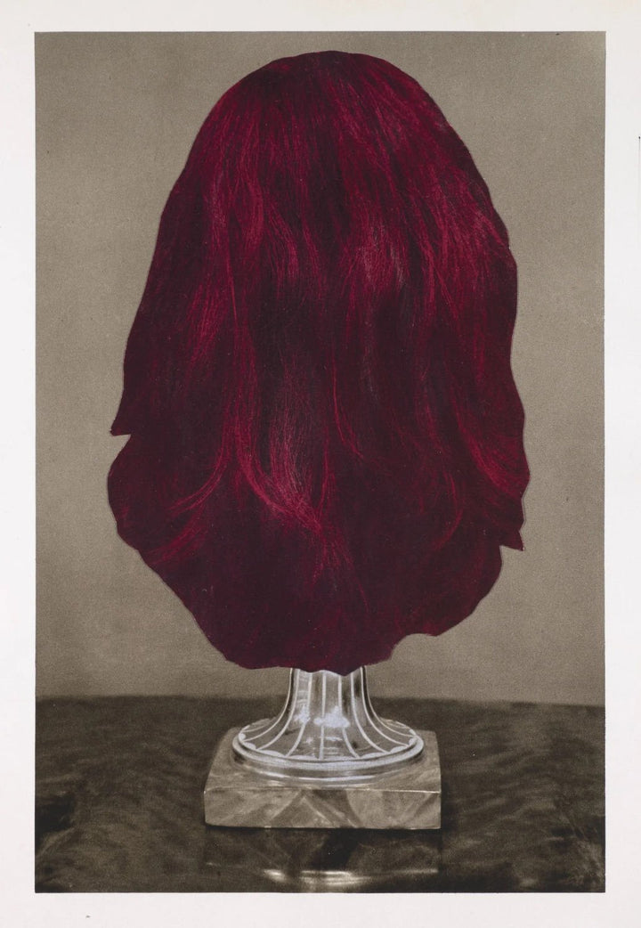 Apophenia 3 - In Medias Res by Julie Wolfe - Tipi bookshop