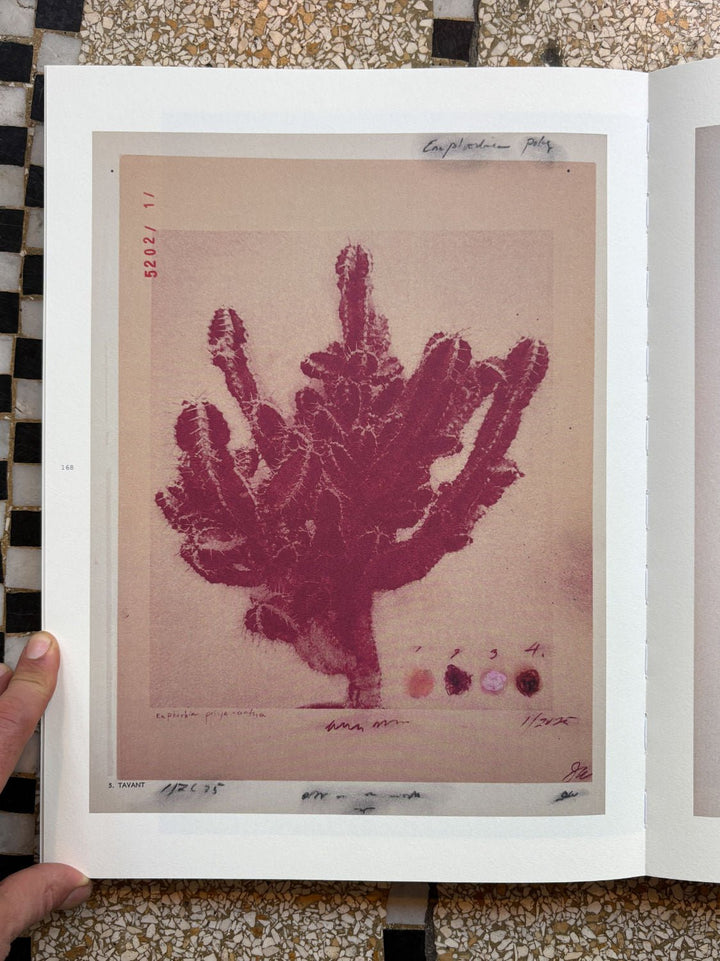 Apophenia 3 - In Medias Res by Julie Wolfe - Tipi bookshop