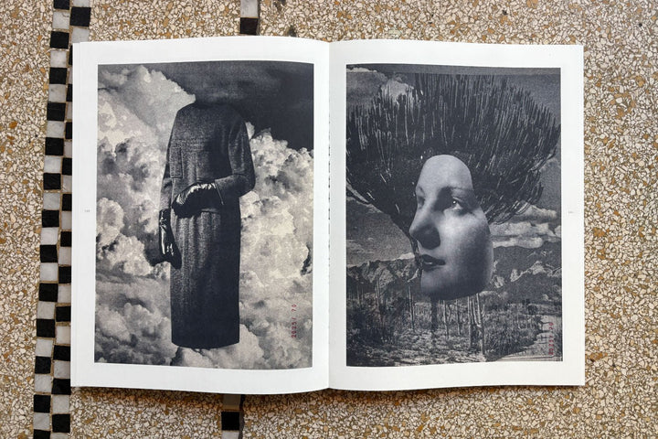 Apophenia 3 - In Medias Res by Julie Wolfe - Tipi bookshop
