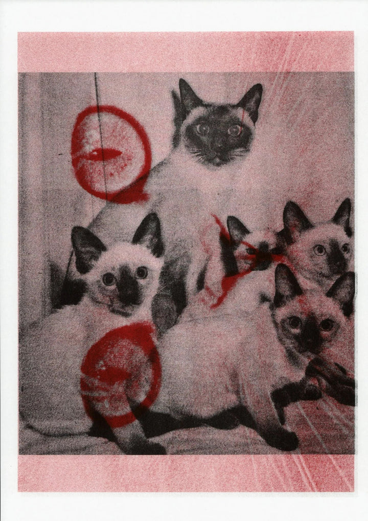 Apophenia 3 - In Medias Res by Julie Wolfe - Tipi bookshop