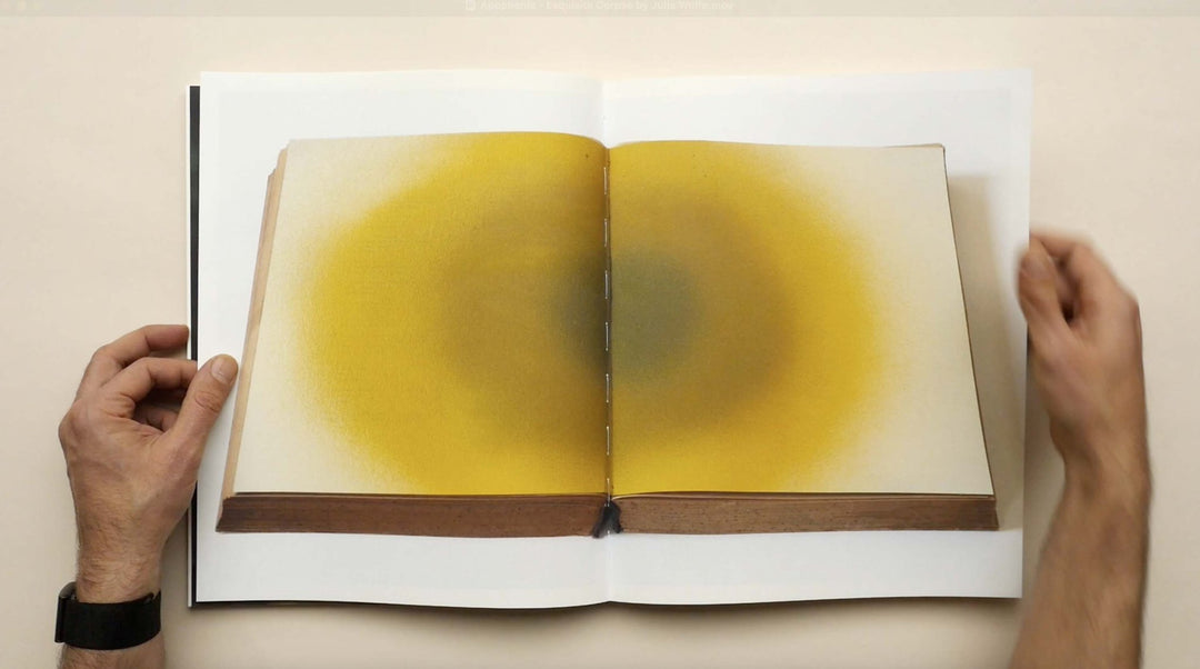 Apophenia - Exquisite Corpse by Julie Wolfe - Tipi bookshop