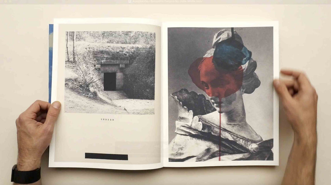 Apophenia - Exquisite Corpse by Julie Wolfe - Tipi bookshop