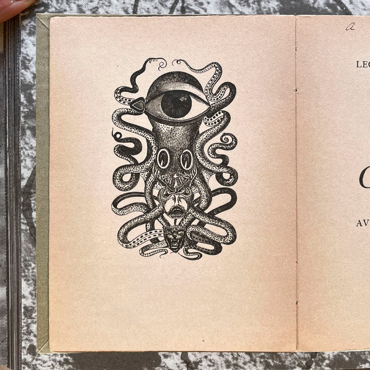 Archive of Dreams - Surrealist Impulses, Networks, and Vision - Tipi bookshop