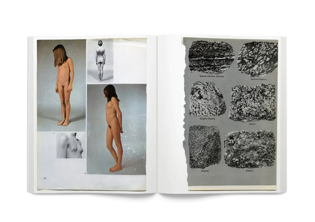 Arrangements by Carmen Winant - Tipi bookshop