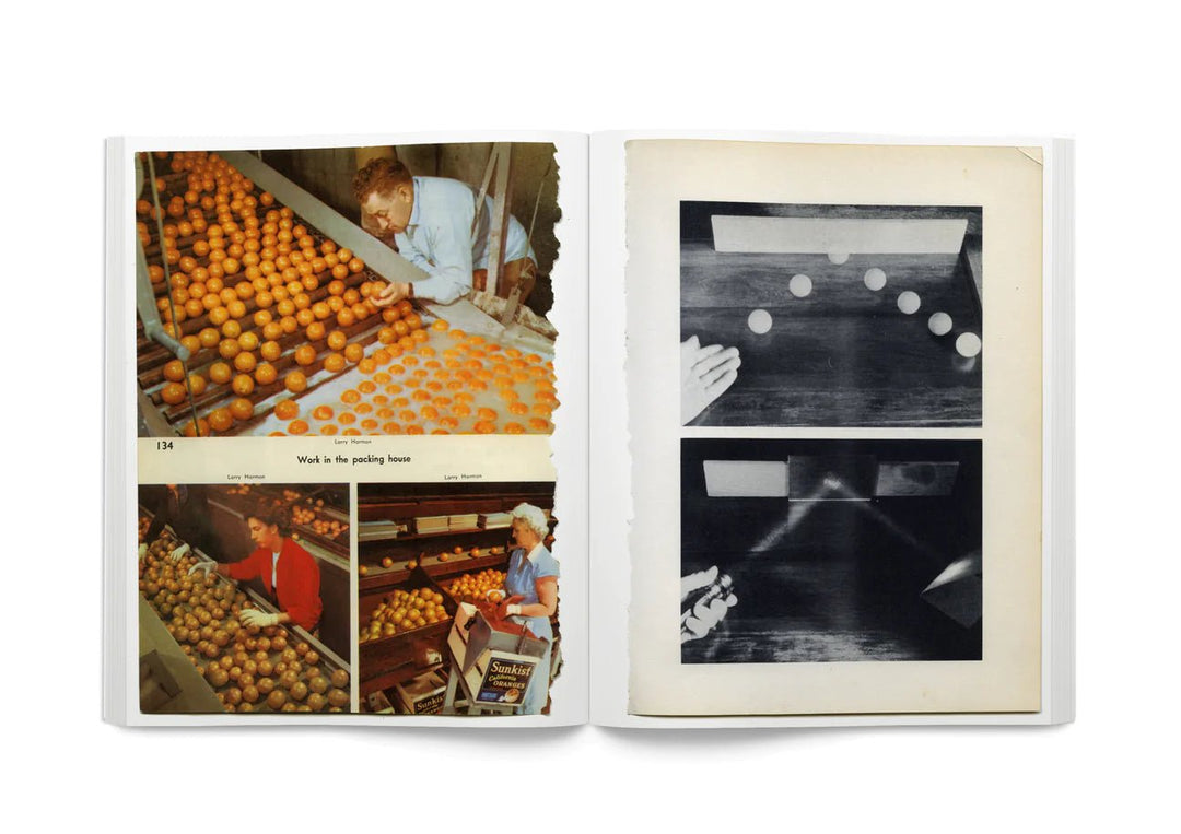 Arrangements by Carmen Winant - Tipi bookshop