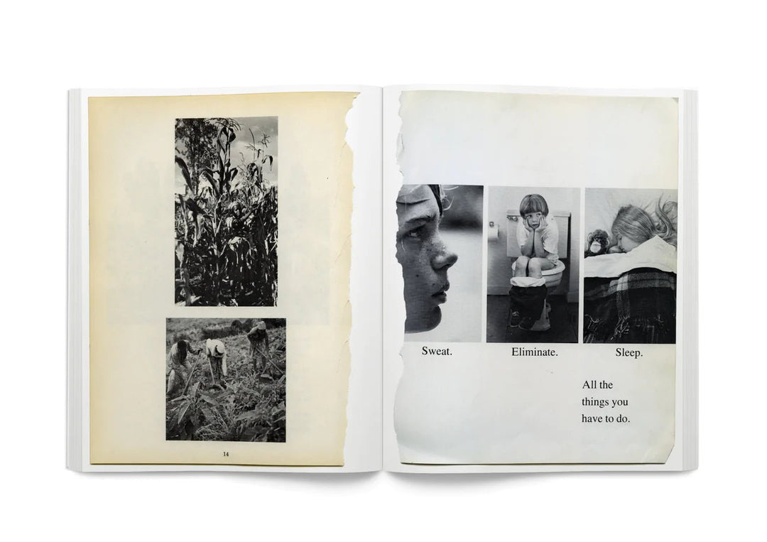 Arrangements by Carmen Winant - Tipi bookshop