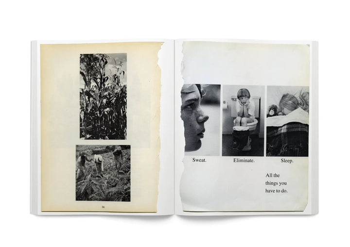 Arrangements by Carmen Winant - Tipi bookshop