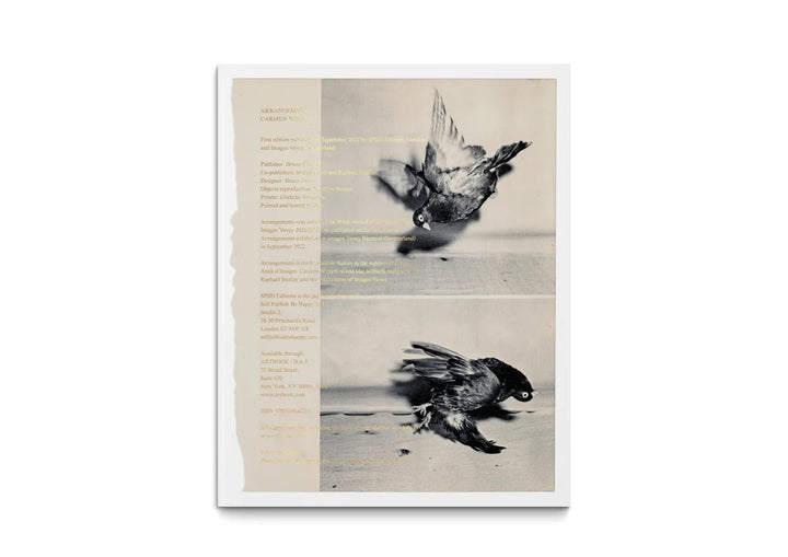 Arrangements by Carmen Winant - Tipi bookshop