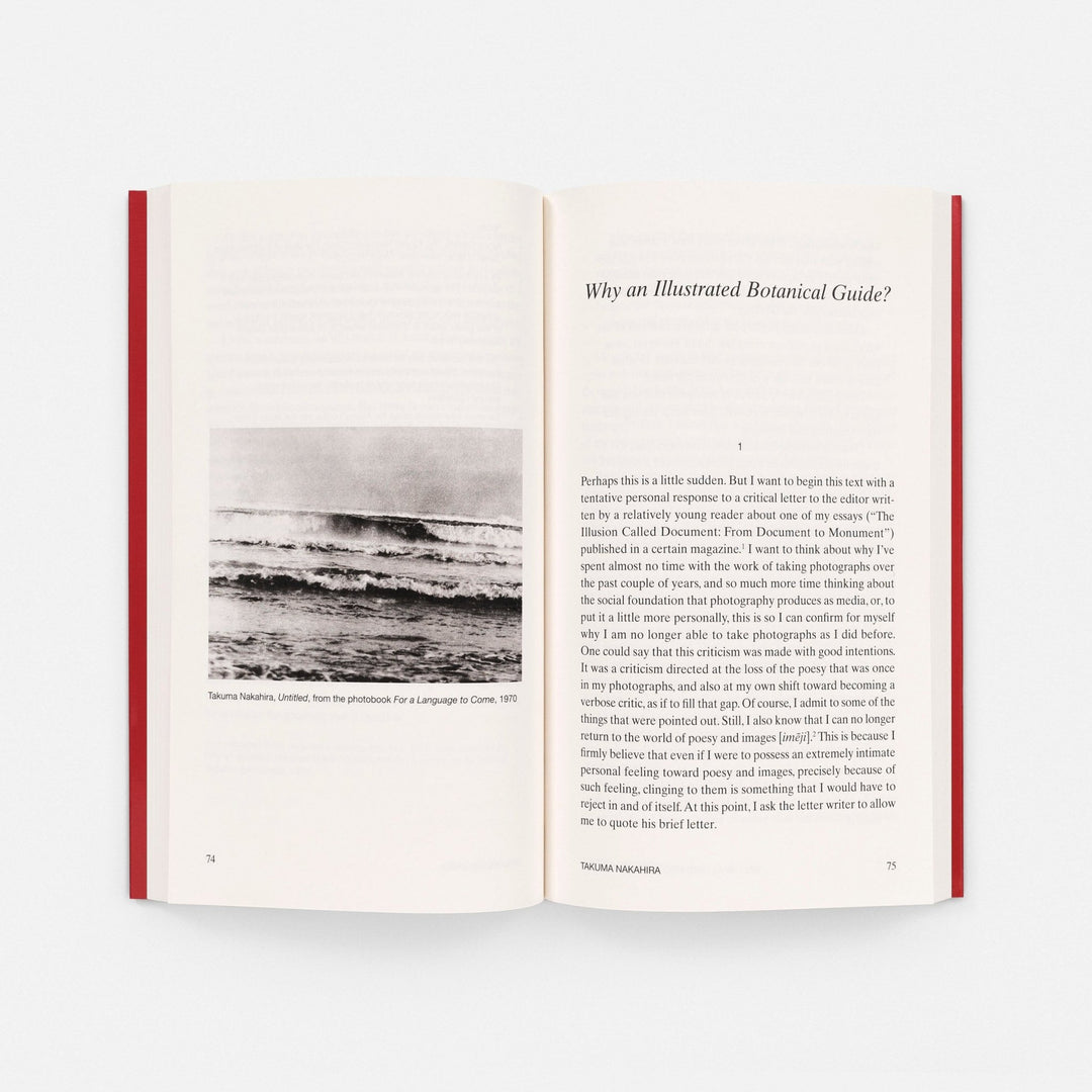 At the Limits of the Gaze by Takuma Nakahira - Tipi bookshop