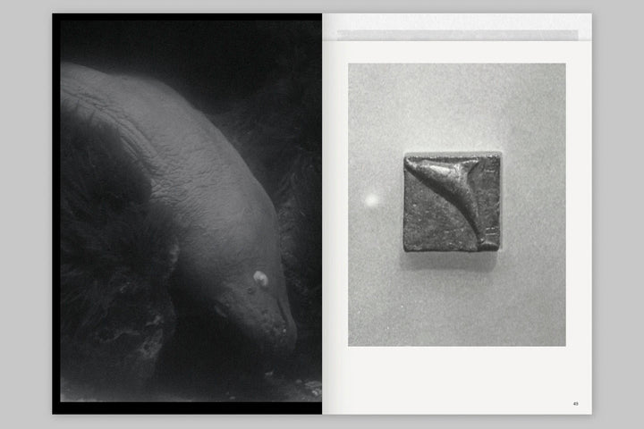 Atlantis by Oriane Thomasson - Tipi bookshop