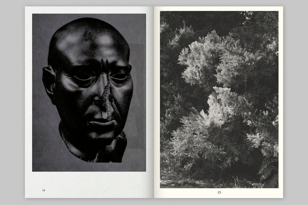 Atlantis by Oriane Thomasson - Tipi bookshop