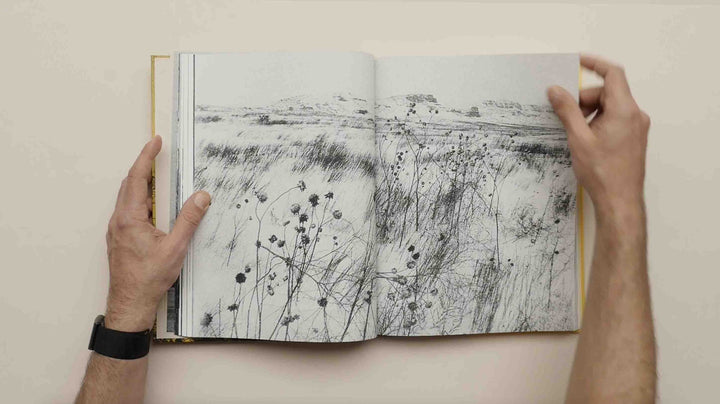 Aux Ombres by Simon Vansteenwinckel - Tipi bookshop