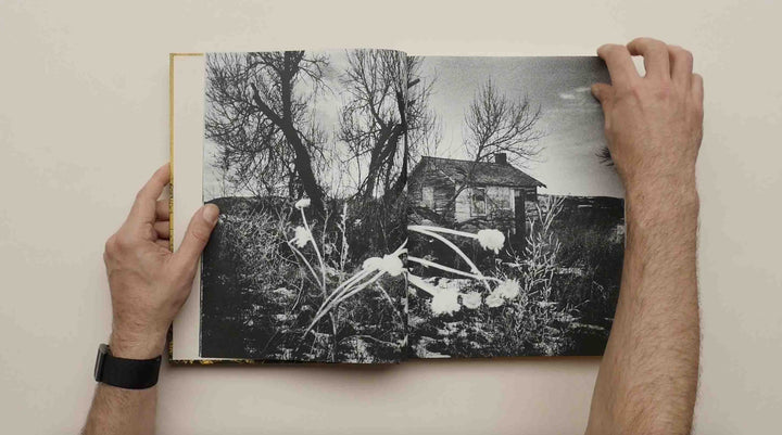 Aux Ombres by Simon Vansteenwinckel - Tipi bookshop