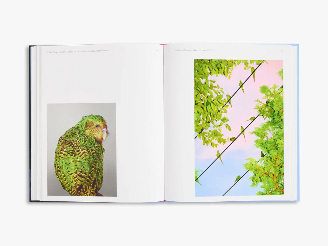 Aviary The Bird in Contemporary Photography by D.Panchaud & W.Ewing - Tipi bookshop