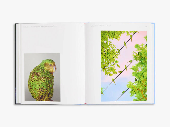 Aviary The Bird in Contemporary Photography by D.Panchaud & W.Ewing - Tipi bookshop