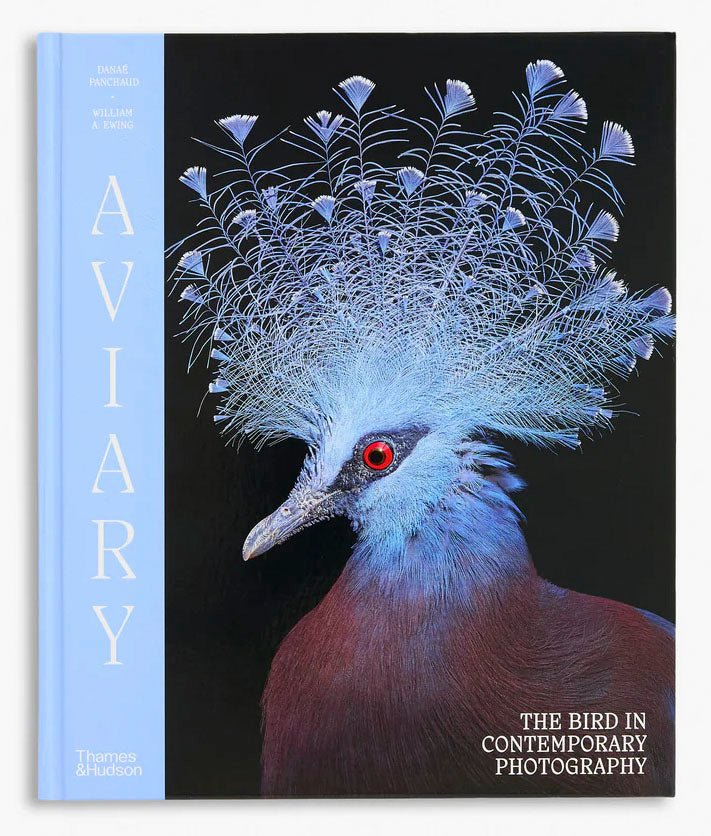 Aviary The Bird in Contemporary Photography by D.Panchaud & W.Ewing - Tipi bookshop