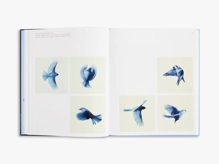 Aviary The Bird in Contemporary Photography by D.Panchaud & W.Ewing - Tipi bookshop