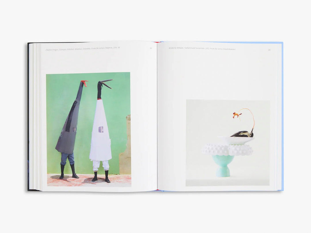 Aviary The Bird in Contemporary Photography by D.Panchaud & W.Ewing - Tipi bookshop