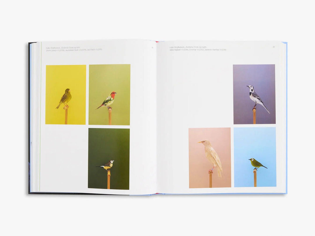 Aviary The Bird in Contemporary Photography by D.Panchaud & W.Ewing - Tipi bookshop