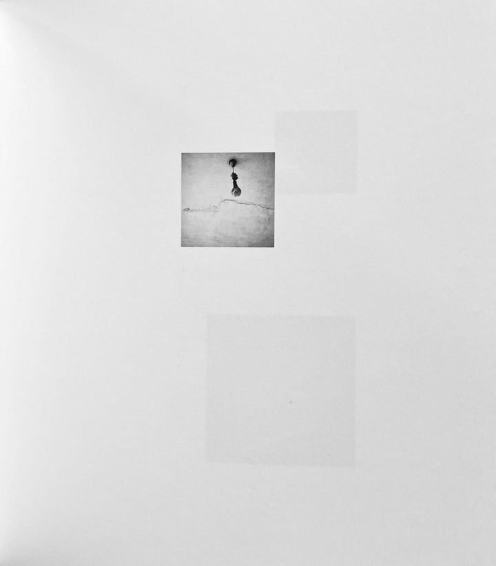 Being Here by Øyvind Hjelmen - Tipi bookshop