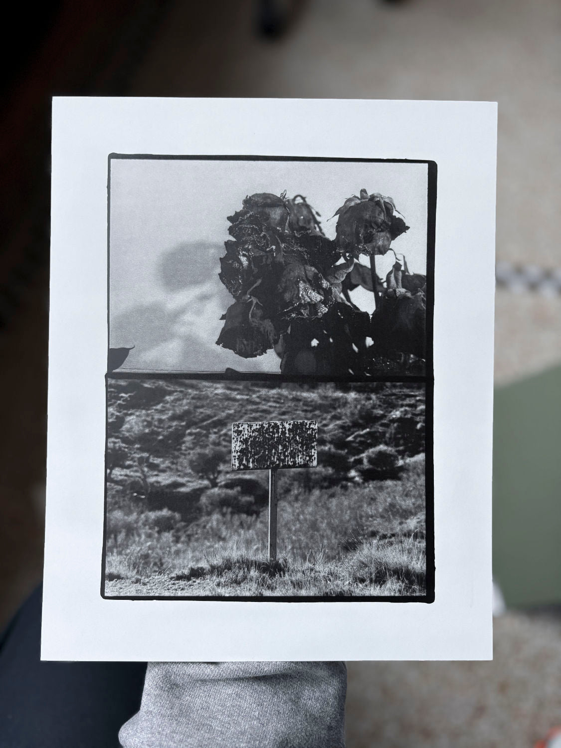 Benrido Collotype - Sakiko Nomura: Träumerei at the Tipi bookshop