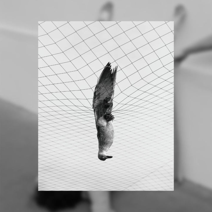 Between Memory and Landscape Set of books - Tipi bookshop