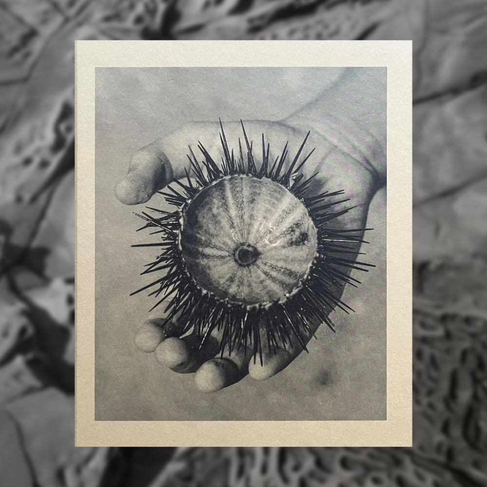 Between Memory and Landscape Set of books - Tipi bookshop