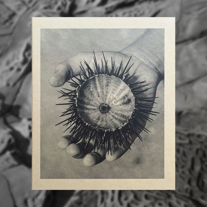 Between Memory and Landscape Set of books - Tipi bookshop