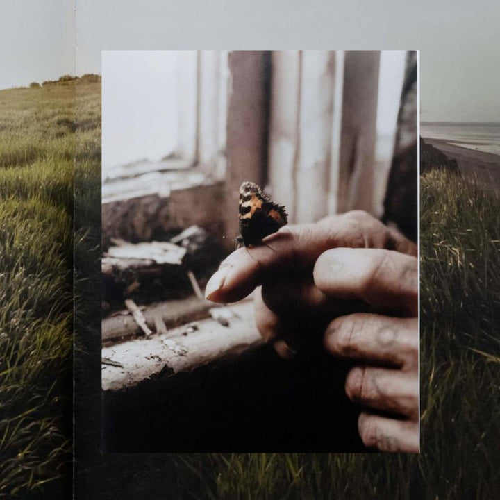 Between Memory and Landscape Set of books - Tipi bookshop