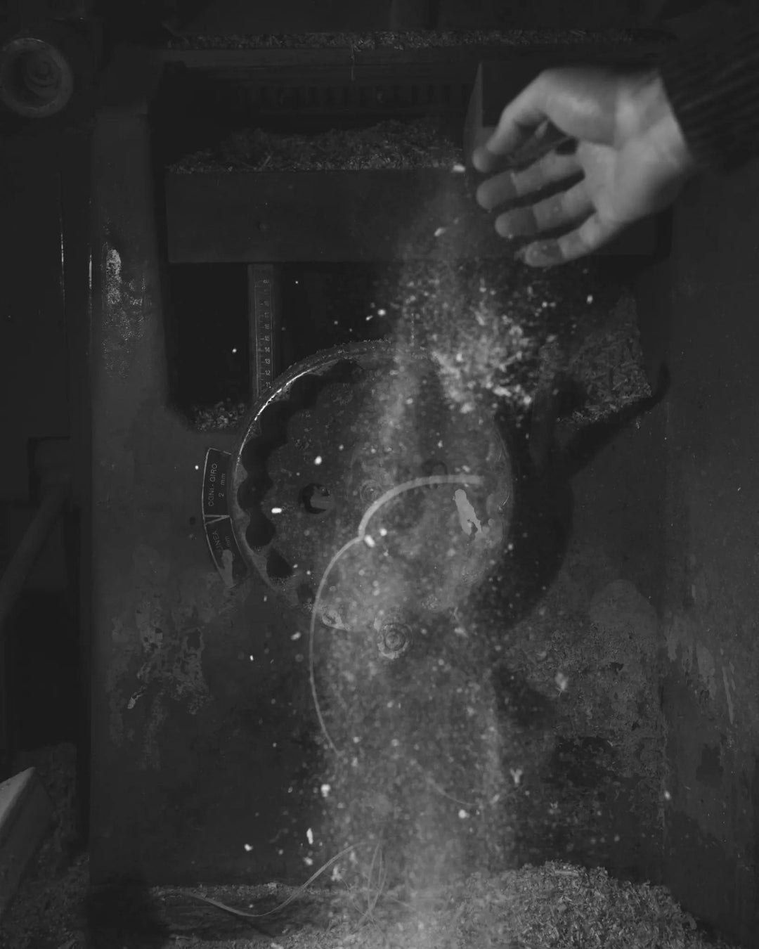 Blank Verse by Maria Siorba - Tipi bookshop