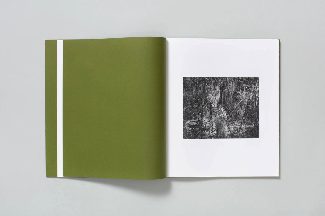 Blood Green by Curran Hatleberg - Tipi bookshop