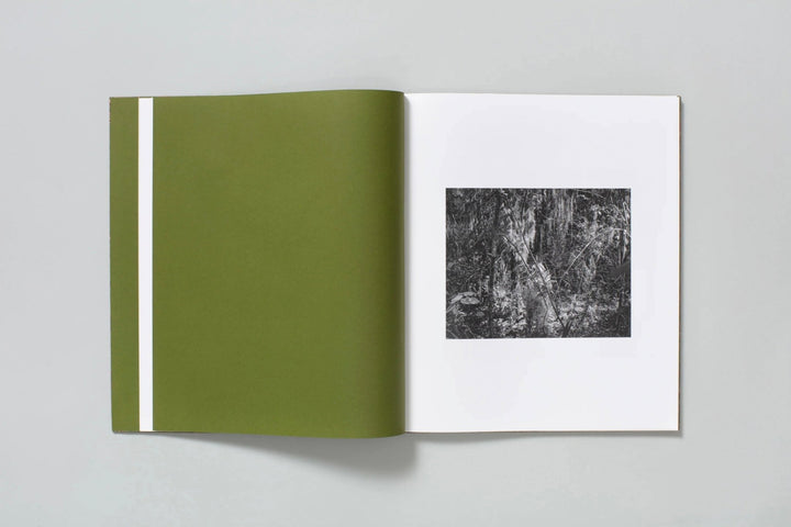 Blood Green by Curran Hatleberg - Tipi bookshop