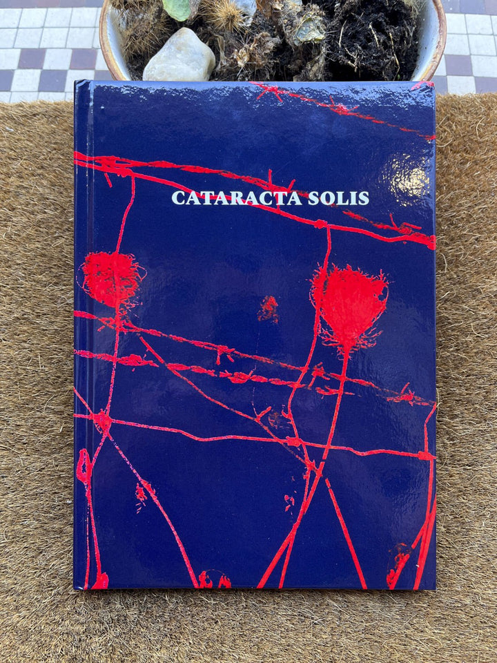 Cataracta Solis by Anna Haillot - Tipi bookshop