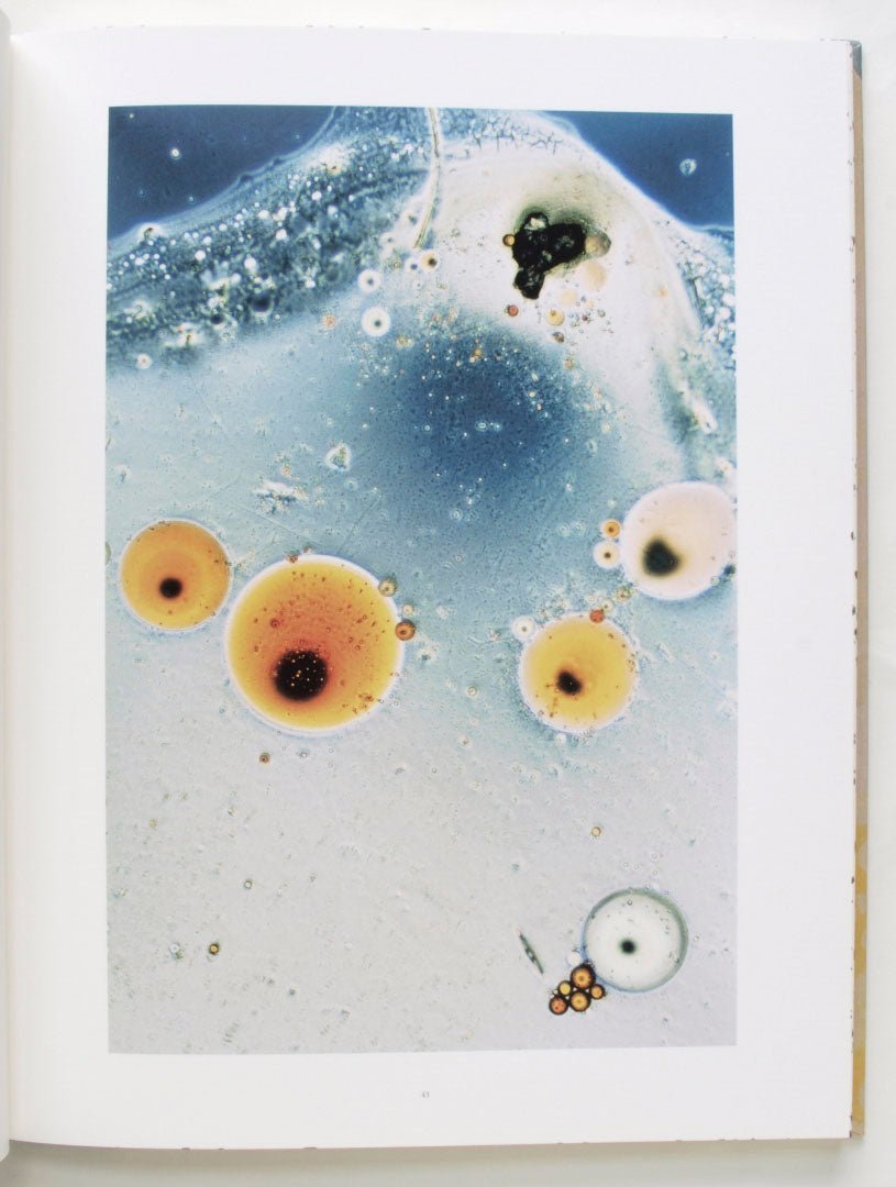 Coexistence by Stephen Gill - Tipi bookshop