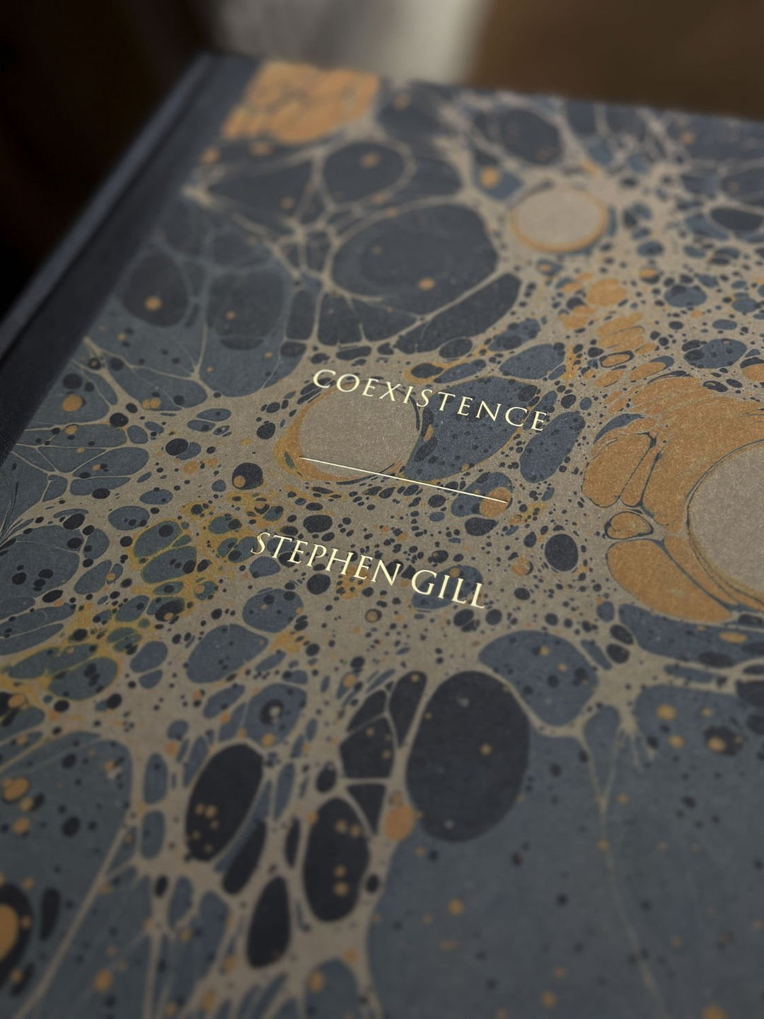 Coexistence by Stephen Gill - Tipi bookshop