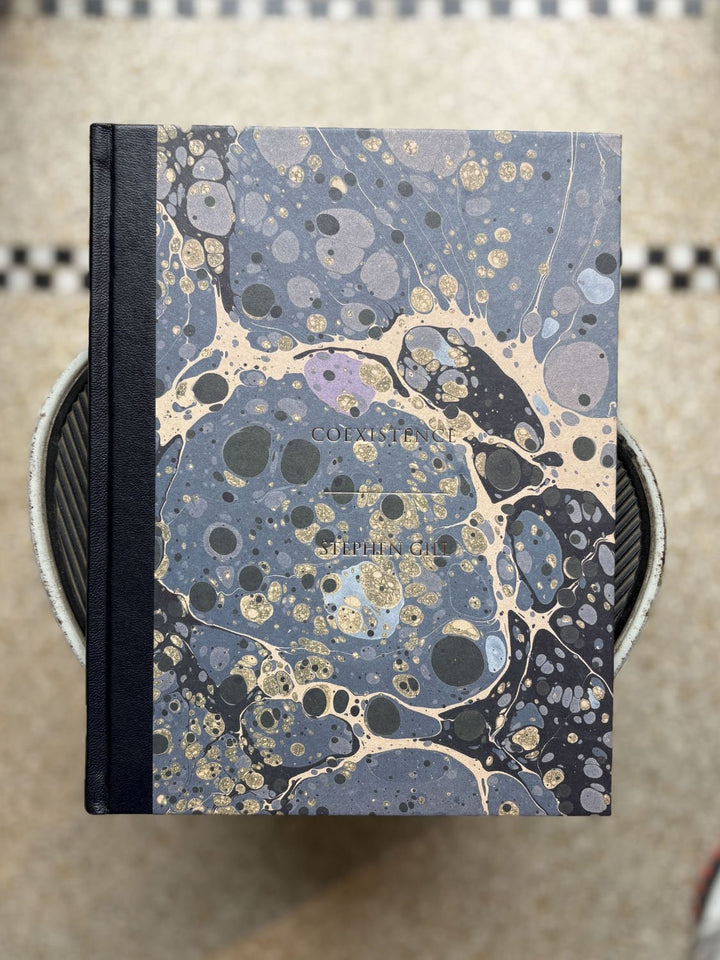 Coexistence by Stephen Gill - Tipi bookshop
