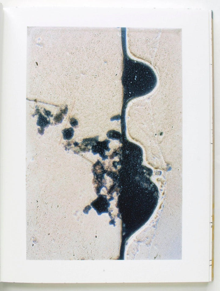 Coexistence by Stephen Gill - Tipi bookshop