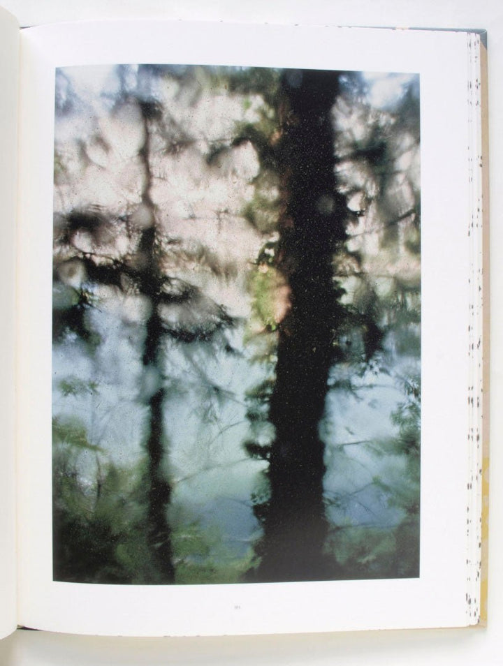 Coexistence by Stephen Gill - Tipi bookshop