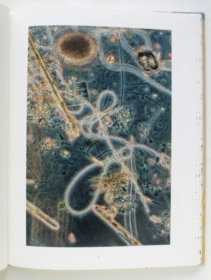 Coexistence by Stephen Gill - Tipi bookshop