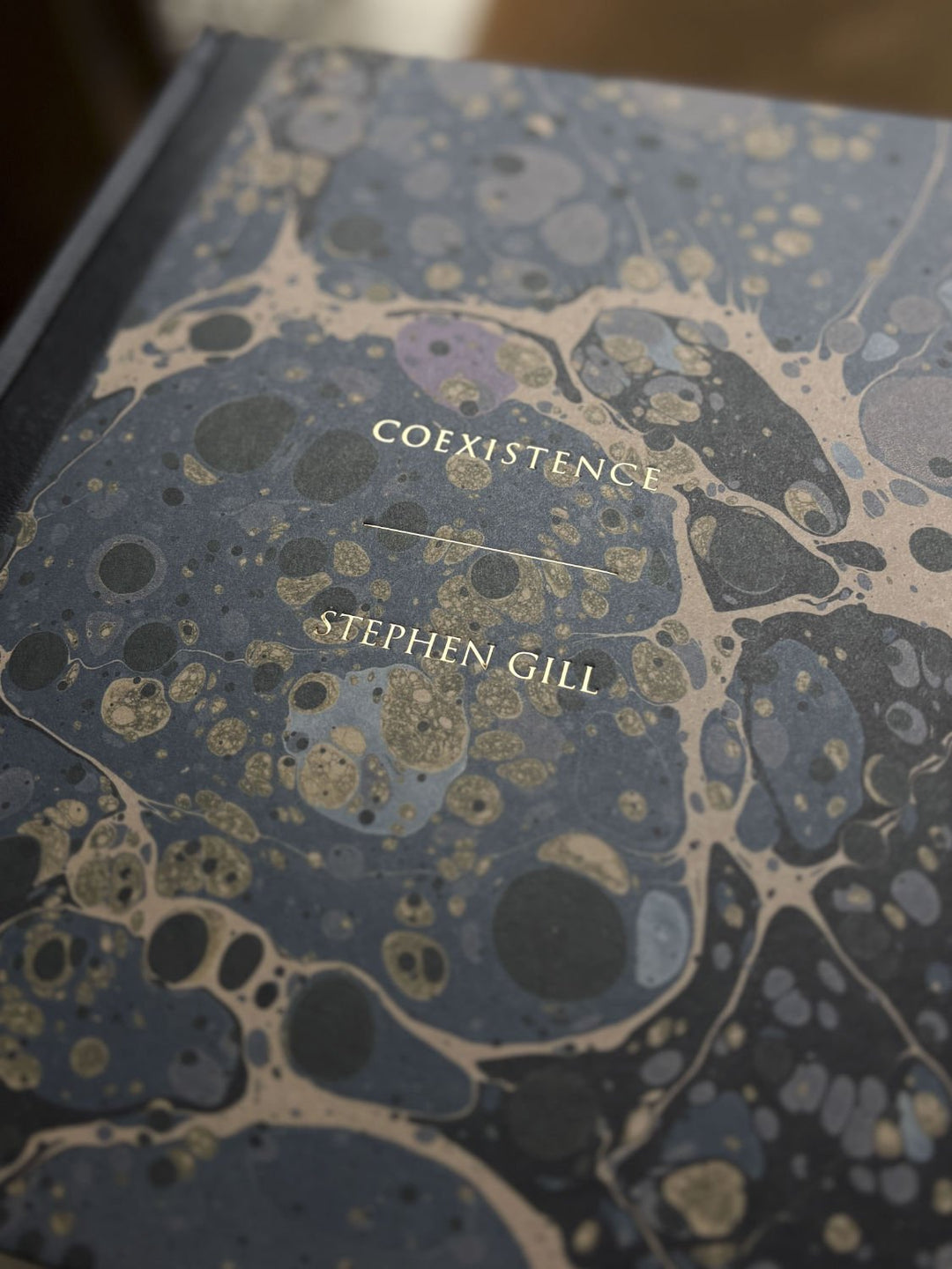 Coexistence by Stephen Gill - Tipi bookshop