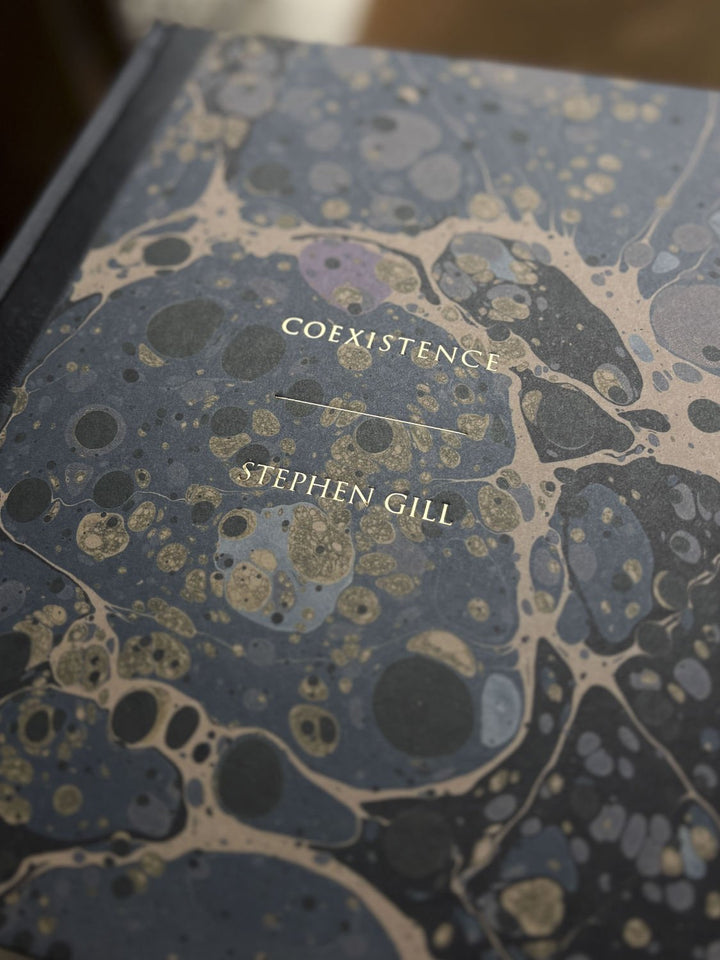 Coexistence by Stephen Gill - Tipi bookshop