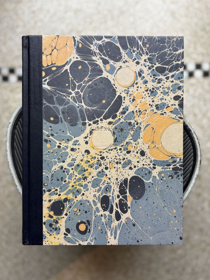 Coexistence by Stephen Gill - Tipi bookshop