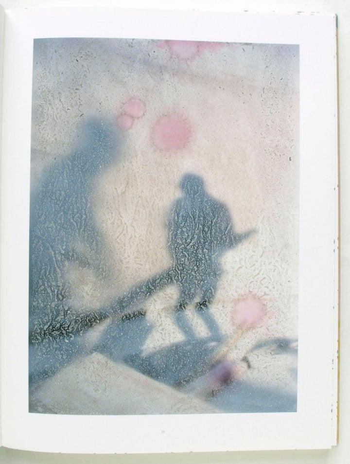 Coexistence by Stephen Gill - Tipi bookshop