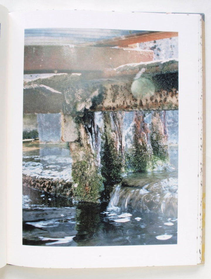 Coexistence by Stephen Gill - Tipi bookshop