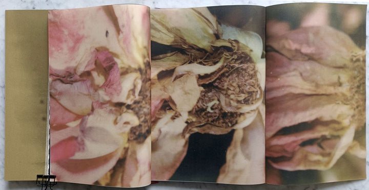 Deceptions by Ye Zeng Yi Li - Tipi bookshop