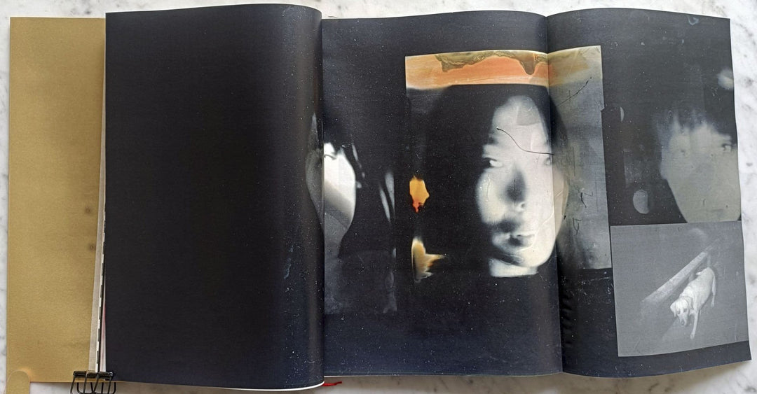 Deceptions by Ye Zeng Yi Li - Tipi bookshop