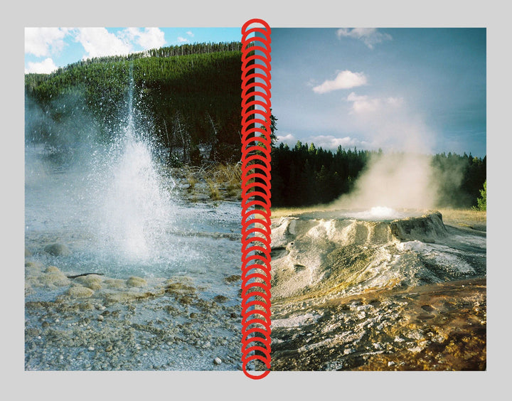 Desert grill dollar tree fossils trap by Louise Mutrel - Tipi bookshop