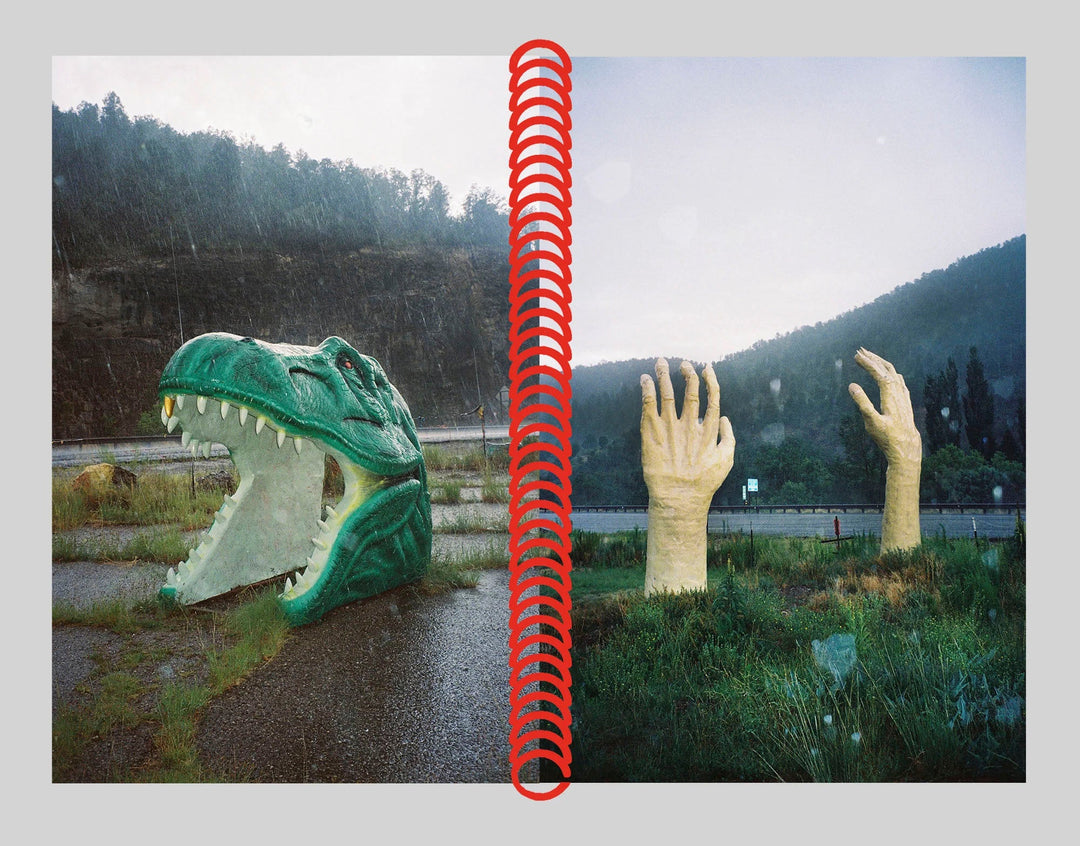 Desert grill dollar tree fossils trap by Louise Mutrel - Tipi bookshop