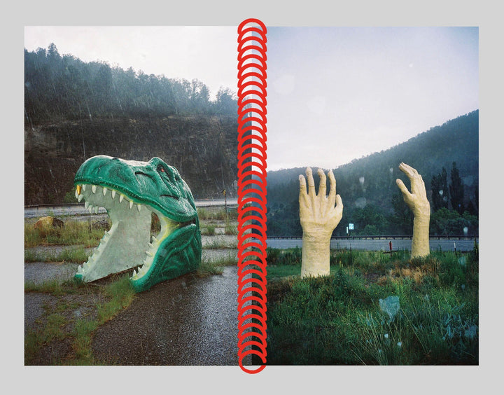 Desert grill dollar tree fossils trap by Louise Mutrel - Tipi bookshop