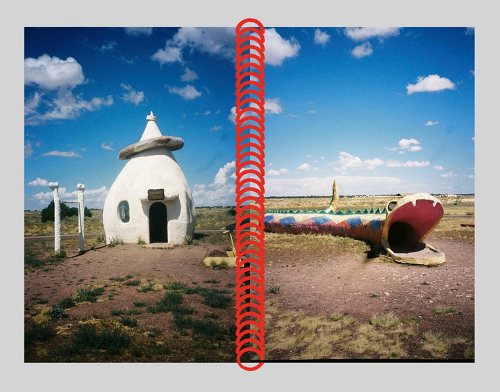 Desert grill dollar tree fossils trap by Louise Mutrel - Tipi bookshop